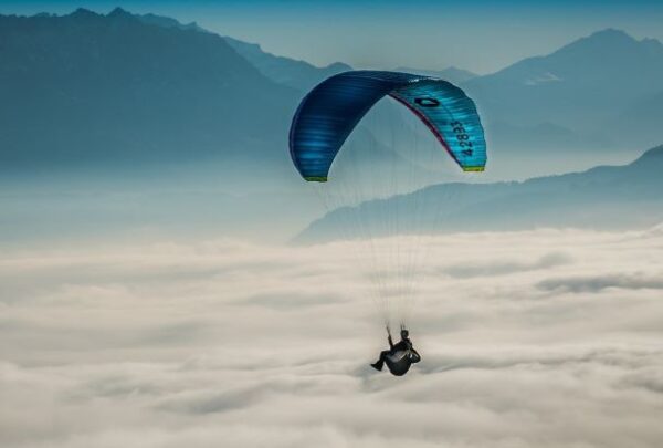 Russian M&A consultants